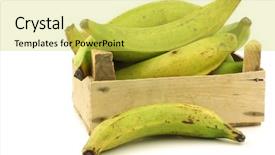  Presentation with unripe - Theme having unripe baking bananas plantain bananas background and a yellow colored foreground