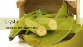  Presentation with unripe - Colorful PPT theme enhanced with unripe baking bananas plantain bananas backdrop and a yellow colored foreground