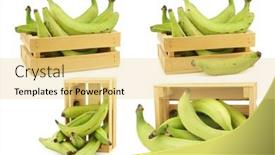  Presentation with unripe - Beautiful PPT theme featuring unripe-baking-bananas-plantain-bananas backdrop and a blonde colored foreground