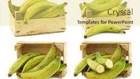  Presentation with plantain - Colorful PPT layouts enhanced with unripe-baking-bananas-plantain-bananas backdrop and a yellow colored foreground