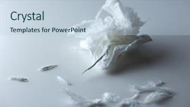  Presentation with tissue - Slide set enhanced with unstoppable - very nervous crumpled ripped background and a lemonade colored foreground