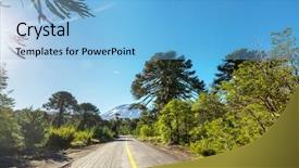  Presentation with tree sky trees green - Colorful presentation enhanced with unusual araucaria araucaria araucana trees backdrop and a  colored foreground