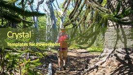  Presentation with chile - Cool new slide set with unusual araucaria araucaria araucana trees backdrop and a  colored foreground