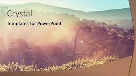  Presentation with tree sky trees green - Theme enhanced with unusual-araucaria-araucaria-araucana-trees background and a lemonade colored foreground