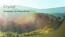  Presentation with chile - Cool new slide deck with unusual-araucaria-araucaria-araucana-trees backdrop and a cool aqua colored foreground