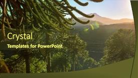  Presentation with chile - PPT layouts consisting of unusual-araucaria-araucaria-araucana-trees background and a tawny brown colored foreground