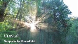  Presentation with chile - Colorful presentation theme enhanced with unusual-araucaria-araucaria-araucana-trees backdrop and a ocean colored foreground