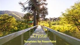  Presentation with chile - Presentation theme having unusual-araucaria-araucaria-araucana-trees background and a tawny brown colored foreground