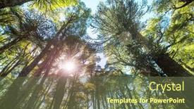  Presentation with chile - Amazing PPT theme having unusual-araucaria-araucaria-araucana-trees backdrop and a tawny brown colored foreground