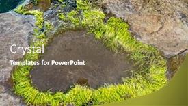  Presentation with water ocean - Slide set enhanced with unusual background of stones algae and water made by nature on the ocean background and a tawny brown colored foreground