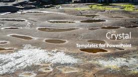  Presentation with algae - Presentation design with unusual background of stones algae and water made by nature on the ocean background and a gray colored foreground