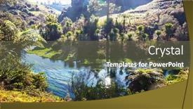  Presentation with maori new zealand native bush - Presentation design enhanced with unusual-blue-spring-in-new background and a tawny brown colored foreground