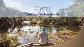  Presentation with maori new zealand native bush - Slide deck having unusual-blue-spring-in-new background and a sky blue colored foreground