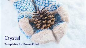  Presentation with pine cone - Slide set having a white snow background background and a sky blue colored foreground