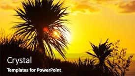  Presentation with tree sky trees green - Beautiful slide set featuring unusual-native-cabbage-trees backdrop and a black colored foreground