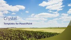  Presentation with beauty products - Audience pleasing PPT theme consisting of unusual scene of the countryside with white fluffy clouds a wonderful day in springtime location rural place of ukraine europe ecological production of natural products beauty world backdrop and a sky blue colored foreground