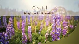  Presentation with mexico - 