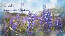  Presentation with mexico - 