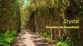  Presentation with viejo - PPT theme enhanced with unusual-tree-branches-form-arche background and a tawny brown colored foreground