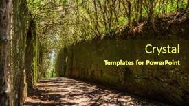  Presentation with viejo - Slide set featuring unusual-tree-branches-form-arche background and a tawny brown colored foreground