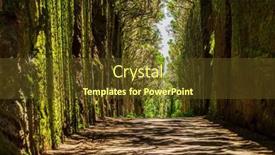  Presentation with viejo - Presentation design having unusual-tree-branches-form-arche background and a  colored foreground