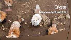  Presentation with food habit for finess - PPT theme consisting of up and waiting for foo background and a violet colored foreground