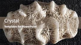  Presentation with rock - Presentation design enhanced with up beautifully carved by time background and a coral colored foreground