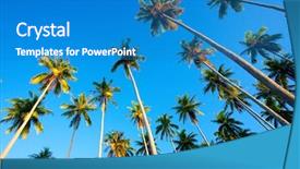  Presentation with coconut - Cool new presentation theme with up cloud - looking up at coconut trees backdrop and a teal colored foreground