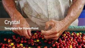  Presentation with free organic cosmetic - PPT theme featuring living organism - close up fresh organic red background and a coral colored foreground