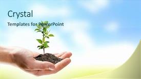  Presentation with sprout - Slide set with up image of human hand background and a cool aqua colored foreground