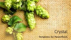  Presentation with branch - Amazing theme having up ingredients for beer brewing backdrop and a yellow colored foreground