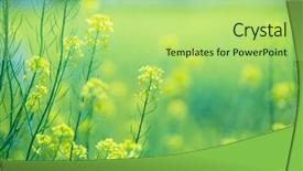  Presentation with baseball field of dreams - Colorful presentation theme enhanced with up intentionally shot with shallow backdrop and a mint green colored foreground