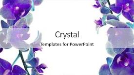  Presentation with white flower frame - Presentation theme having up isolated on white background background and a  colored foreground