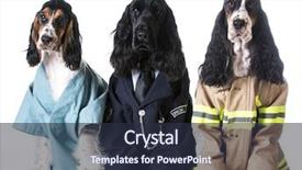  Presentation with fire fighter - Presentation theme enhanced with up like a doctor police background and a tawny brown colored foreground