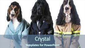  Presentation with fire fighter - Amazing theme having up like a doctor police backdrop and a ocean colored foreground