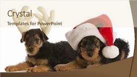  Presentation with white christmas - Presentation theme enhanced with up like santa and rudolph background and a cream colored foreground