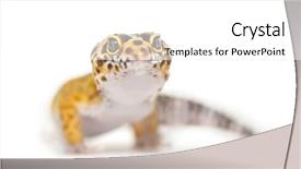  Presentation with cartoon leopard - Slide deck with up of a leopard gecko background and a white colored foreground