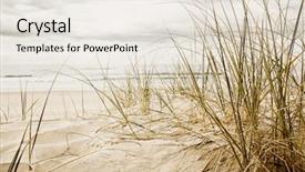  Presentation with stormy sea - PPT layouts having up of a tall grass background and a sky blue colored foreground