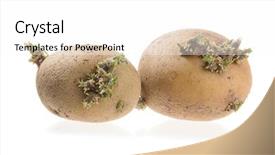  Presentation with potato - Colorful slide deck enhanced with up of a wrinkled potato backdrop and a  colored foreground