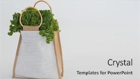  Presentation with leafy vegetables single - Audience pleasing theme consisting of up of bag with leafy backdrop and a light gray colored foreground