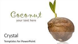  Presentation with coconut - Beautiful theme featuring up of coconut with leaves backdrop and a white colored foreground
