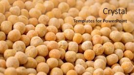  Presentation with peas - Presentation design consisting of up of dry yellow peas background and a yellow colored foreground