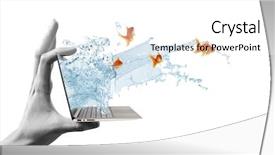  Presentation with laptop screen frame - Amazing PPT theme having up of laptop with fish backdrop and a white colored foreground
