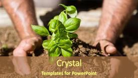  Presentation with garden - PPT theme having up of man planting sapling background and a  colored foreground