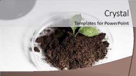  Presentation with soil engineering - PPT theme consisting of up of plant and soil background and a  colored foreground