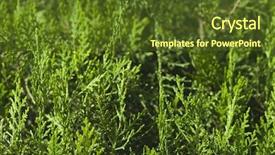  Presentation with tradititons of india - Cool new presentation theme with up of plants gurgaon haryana backdrop and a  colored foreground