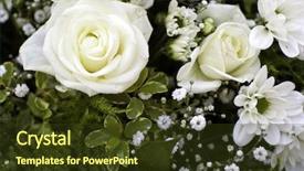  Presentation with wedding roses - Beautiful theme featuring up of roses and lace backdrop and a tawny brown colored foreground