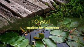  Presentation with earth water and plants - Colorful PPT theme enhanced with up of water lillies plant backdrop and a tawny brown colored foreground