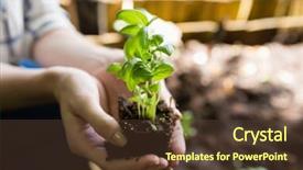  Presentation with role play woman and man - Presentation theme featuring up of woman holding sapling background and a  colored foreground