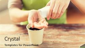  Presentation with seeds - Audience pleasing slide deck consisting of up of woman sowing seed backdrop and a  colored foreground